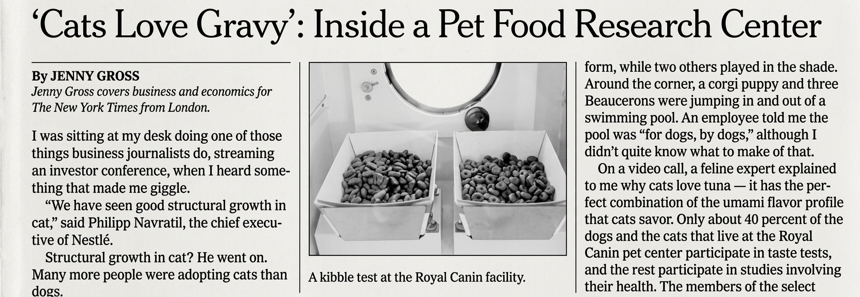 nytcats